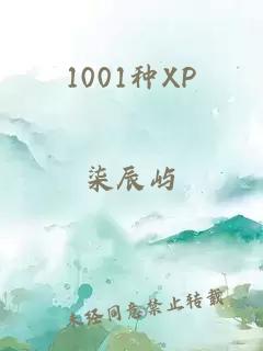 1001种XP